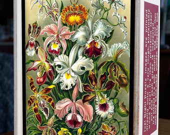Haeckel's Orchids - Wooden Jigsaw Puzzle - 13" x 19" - 247 pieces