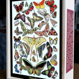 Papillon - Wooden Jigsaw Puzzle - 13&quot; x 19&quot; - 247 pieces