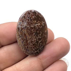 Dinosaur Bone Cabochon, AAA+ Top Quality Dinosaur Bone, Oval Shape Gemstone, Dinosaur Bone For Making Jewelry, 33Ct, 32x22x5MM