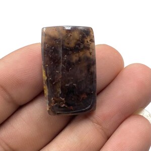 Dinosaur Bone Cabochon, AAA+ Top Quality Dinosaur Bone, Cushion Shape Gemstone, Dinosaur Bone For Making Jewelry, 24Ct, 27X16X5MM
