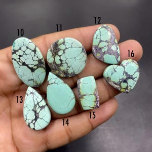 Pode incluir: Sete cabochões de turquesa polidos em várias formas, incluindo oval, redondo, coração e gota, cada um com uma distinta teia de matriz escura. As pedras estão numeradas de 10 a 16, exibindo tons de verde claro com veios escuros.