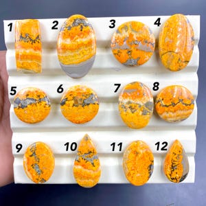 Pode incluir: Uma coleção de doze pedras de jaspe abelha polidas em várias formas, incluindo ovais, redondas e em forma de gota. As pedras apresentam uma vibrante mistura de cores amarelo, laranja e cinza, com padrões e texturas únicos. São exibidas numa superfície branca.