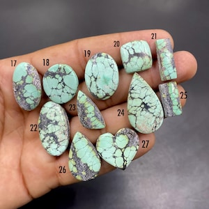 May include: A collection of eleven polished turquoise cabochons in various shapes including oval, round, square, teardrop, and heart, each featuring a light mint green base colour with dark brown to black matrix webbing, labelled with numbers 17 through 27.