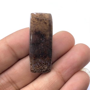 Dinosaur Bone Cabochon, AAA+ Top Quality Dinosaur Bone, Cushion Shape Gemstone, Dinosaur Bone For Making Jewelry, 25Ct, 35x14x5MM