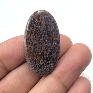 Dinosaur Bone Cabochon, AAA+ Top Quality Dinosaur Bone, Oval Shape Gemstone, Dinosaur Bone For Making Jewelry, 29Ct, 35X19X5MM