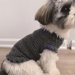 May include: A small, white dog wearing a gray knitted sweater with blue trim. The dog is sitting on a light wood floor.