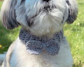 Handmade Crochet Dog Collar with Flower | Pet Accessory for Small Dogs