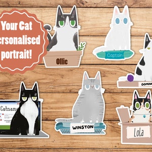 Custom cat sticker - Personalise your own!