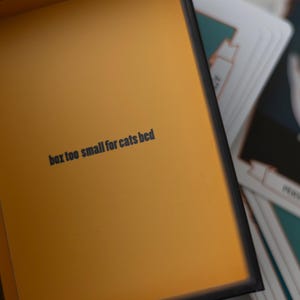 May include: A yellow box with the text "box too small for cats bed" printed on the front.
