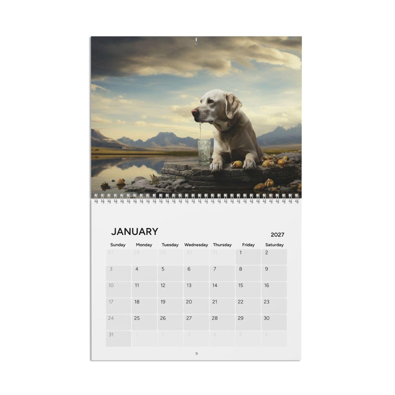 Peut inclure: Un calendrier mural 2027 pr&eacute;sentant une photographie d'un Labrador de couleur claire assis sur un rivage rocheux au bord d'un lac. La page du calendrier affiche le mois de janvier avec une grille de jours, incluant le texte January et 2027.