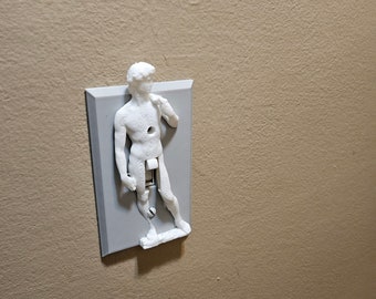 3d Michelangelo's David light switch cover decorative sculpture switch plate cover. Great for pranks or art lovers