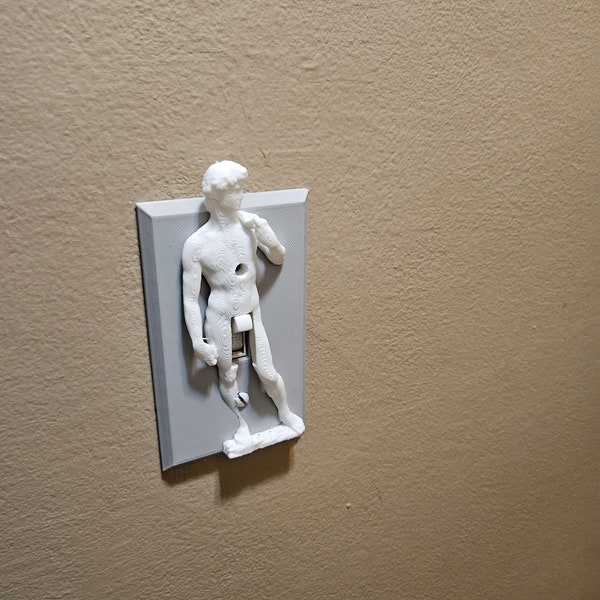 3d Michelangelo's David light switch cover decorative sculpture switch plate cover. Great for pranks or art lovers