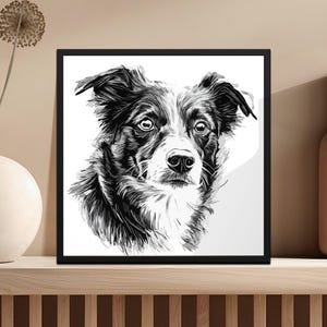 Könnte beinhalten: Schwarz-Weiß-Kunstdruck eines Border Collie-Hundes. Das Porträt des Hundes ist in einem quadratischen schwarzen Rahmen dargestellt, mit detaillierten Schattierungen und ausdrucksstarken Augen. Das Kunstwerk steht auf einem Holzregal.