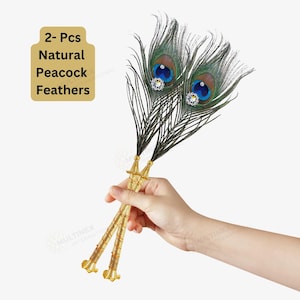 PEACOCK EYE FEATHERS - Natural Big Eye Peacock Tail Feather, Peacock Eye for Home Decor, Feathers for Crafts, Peacock Feathers for Jewelry