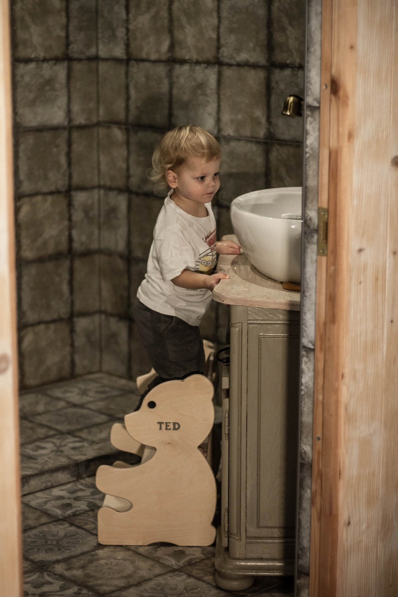 May include: A wooden step stool shaped like a bear with the name "TED" printed on it. The step stool is light brown and is in front of a bathroom vanity with a white sink. A young child is standing on the step stool.