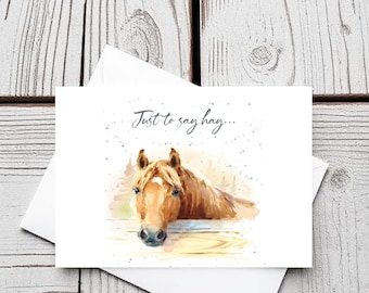 Solo per dire "Hay Horse" - set di 5 biglietti vuoti