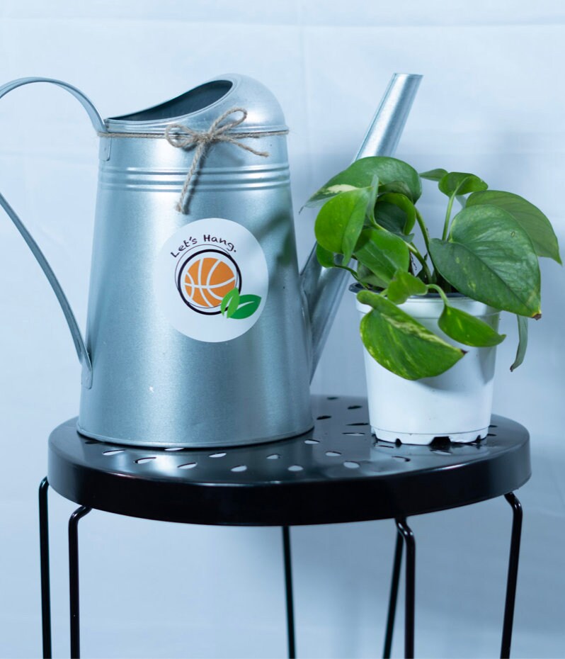 Let's Hang Galvanized Steel Watering Can Etsy