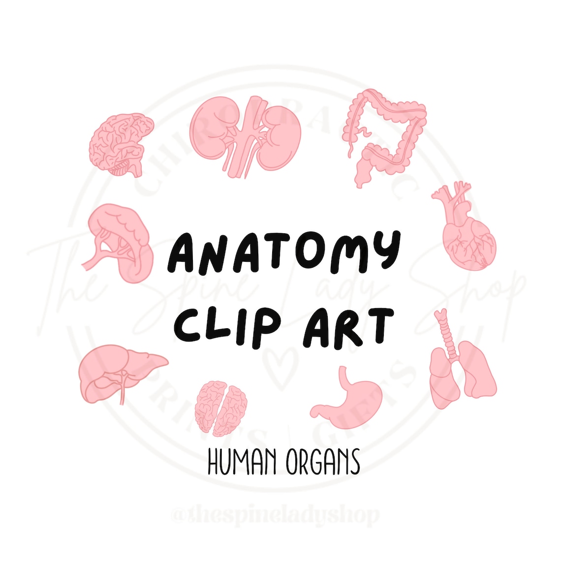 Human Anatomy Clip Art | Human Organs Clipart - Etsy