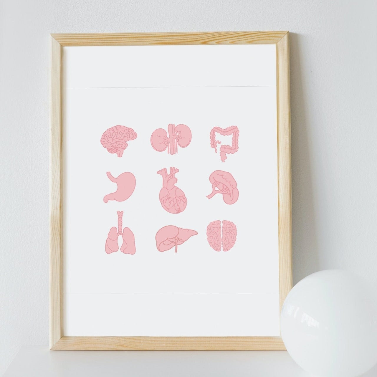 Human Anatomy Clip Art | Human Organs Clipart - Etsy