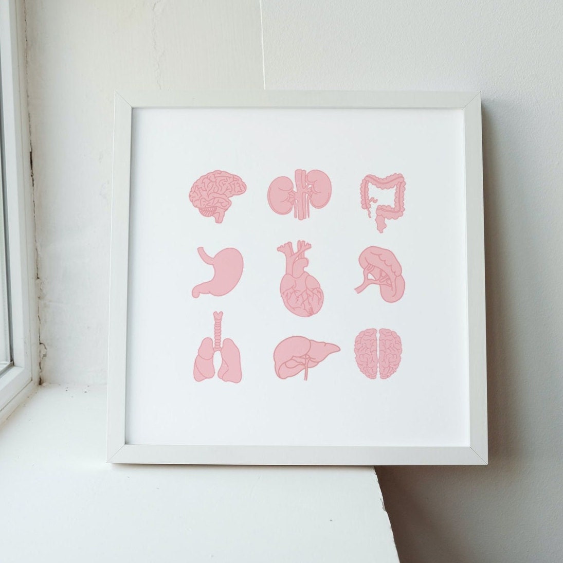 Human Anatomy Clip Art | Human Organs Clipart - Etsy