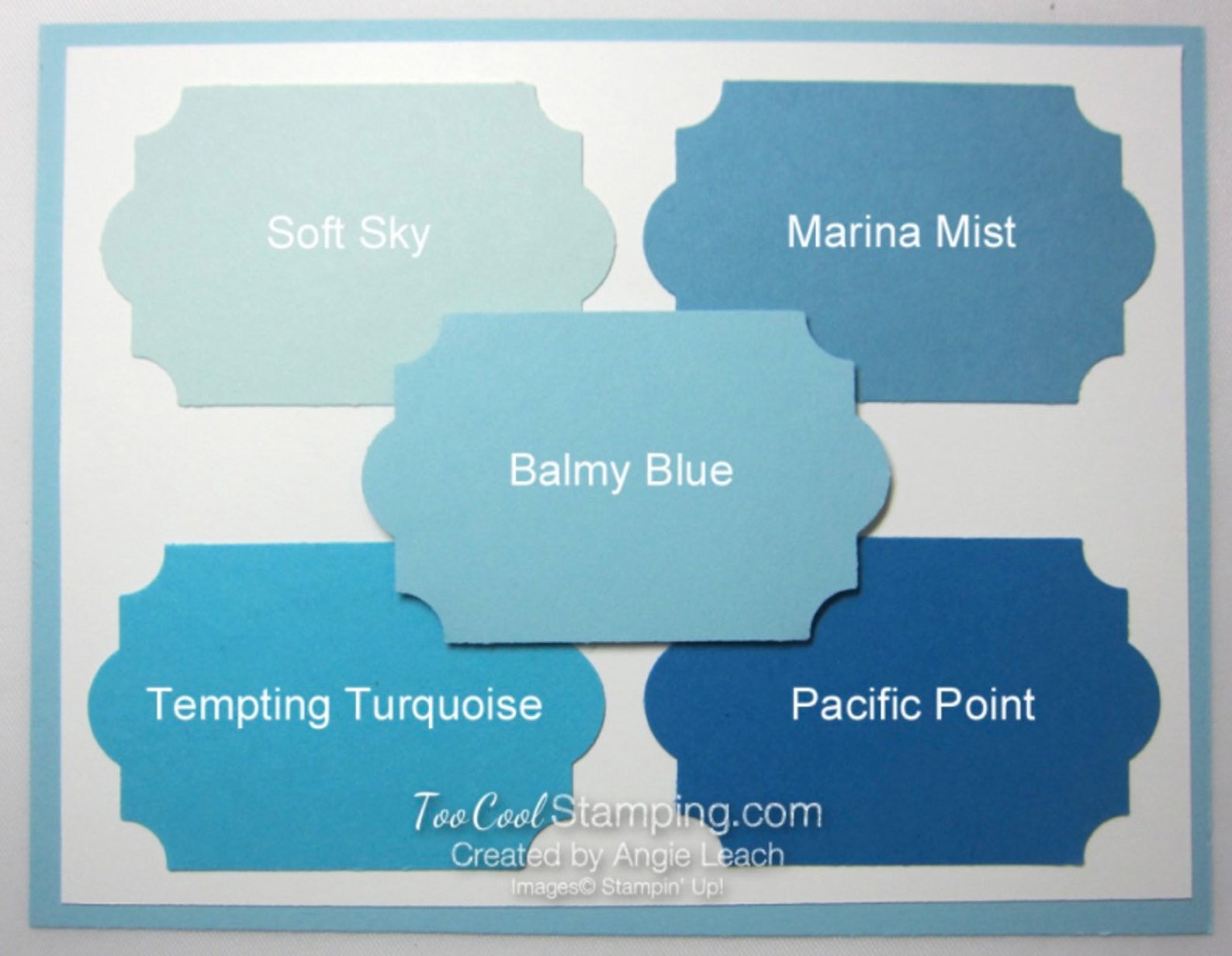 Assorted Retired Stampin up Cardstock in Bundles of 6 Sheets Etsy