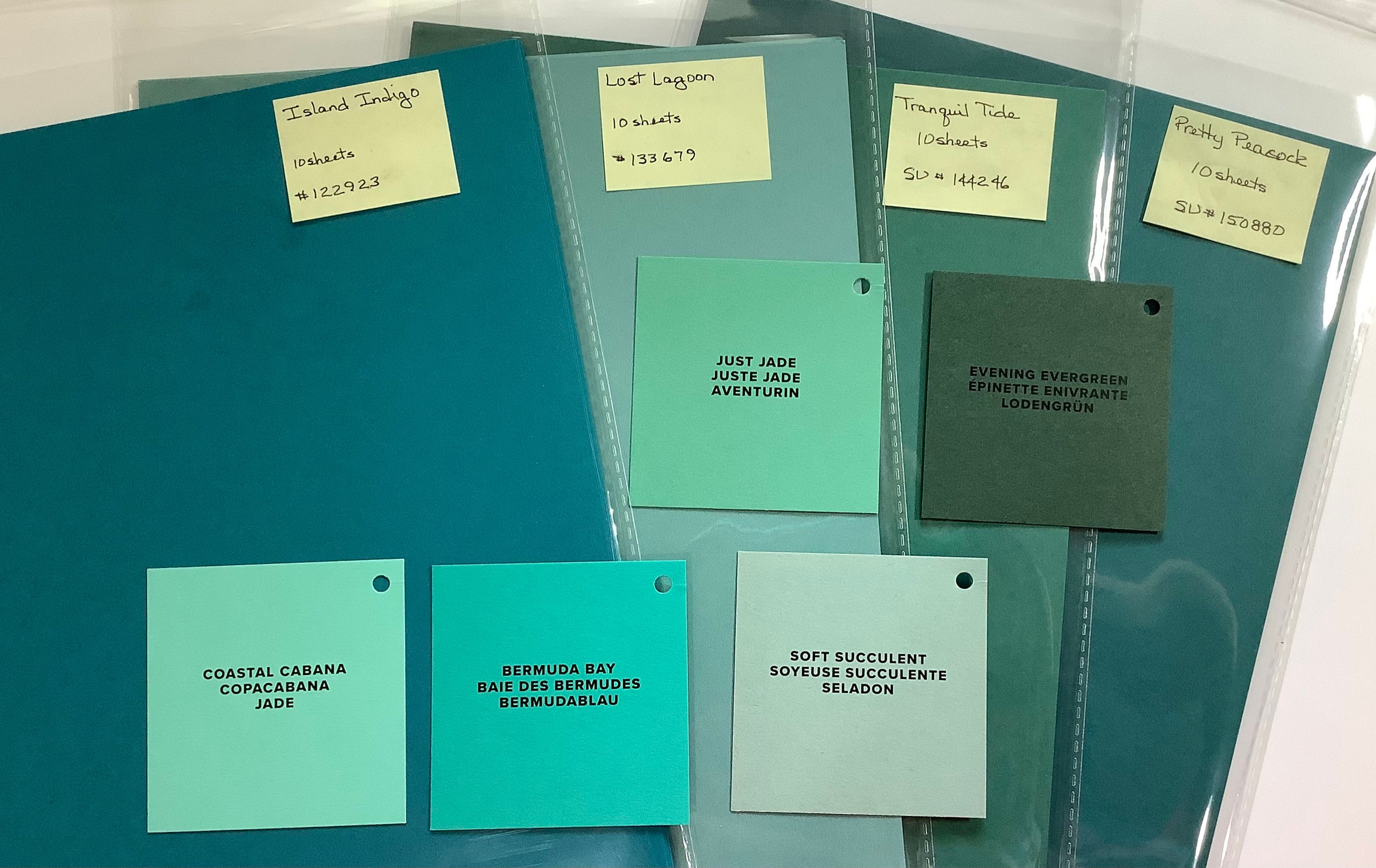 Assorted Greens of Stampin up Card Stock, 6 Sheet Bundles Etsy