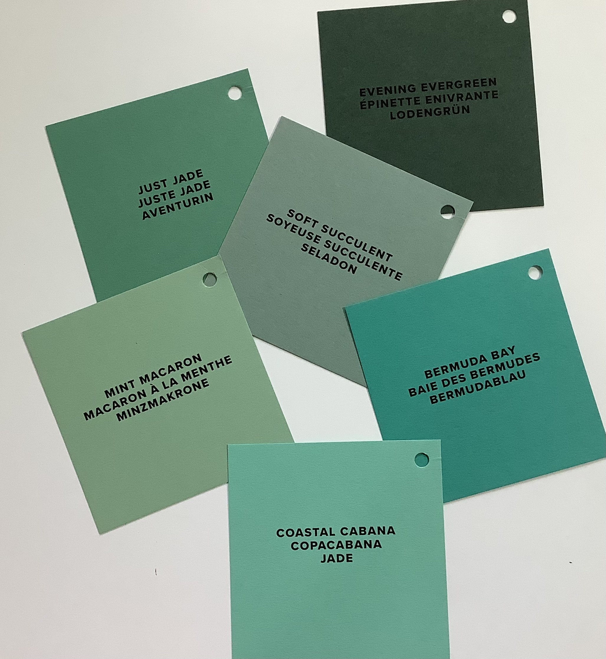 Assorted Greens of Stampin up Card Stock, 6 Sheet Bundles Etsy