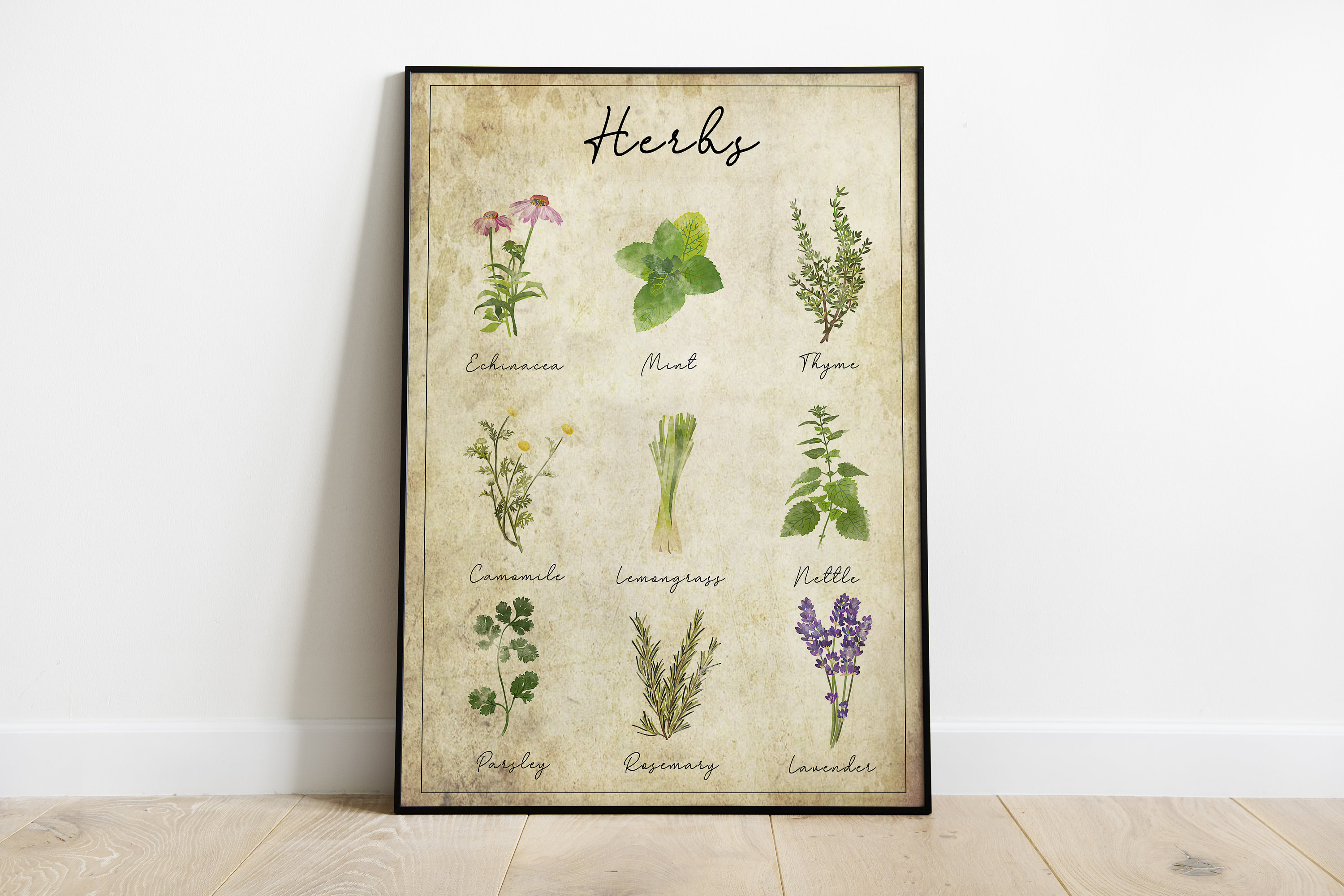 Vintage Herb Poster Print Herb Printables Kitchen Etsy