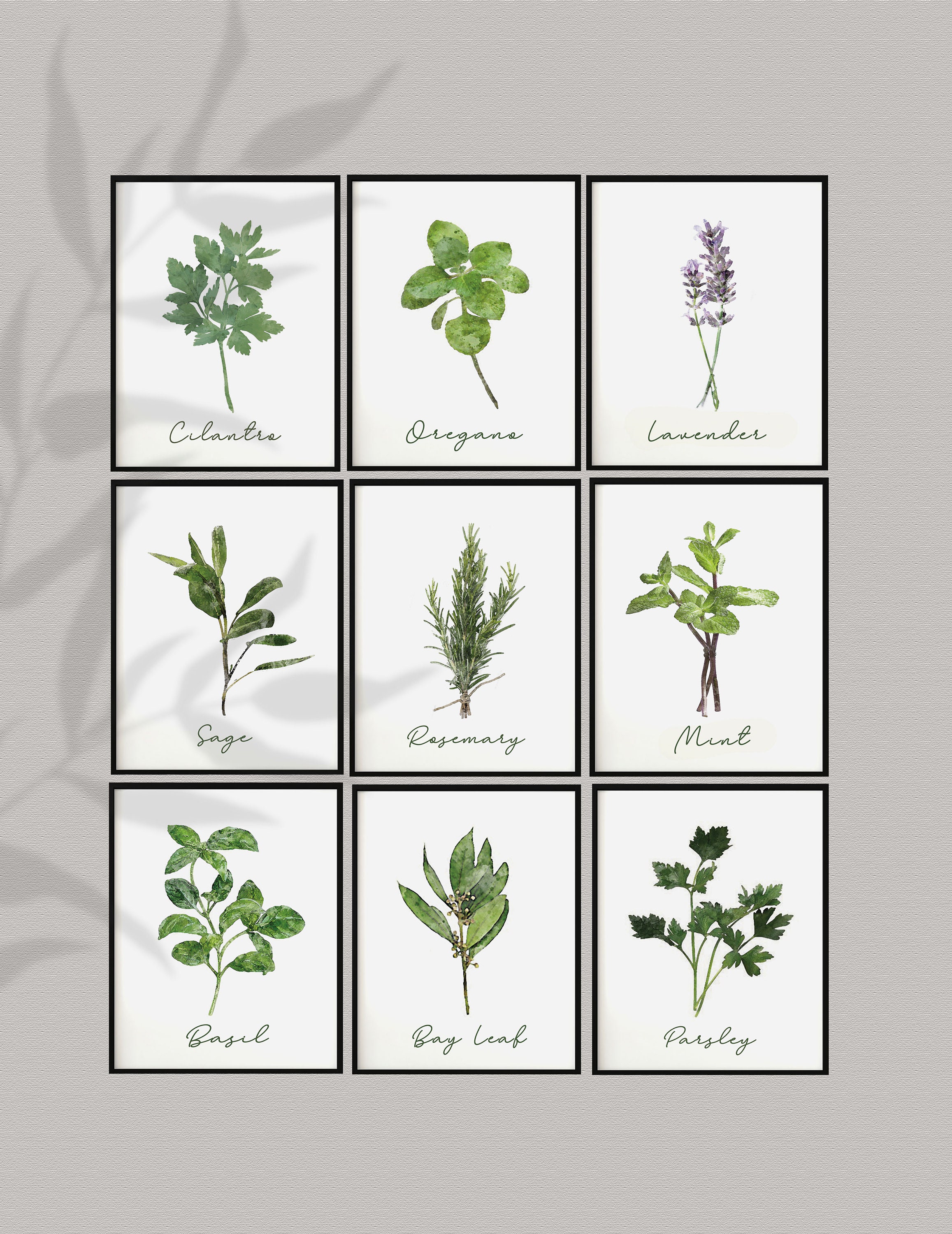 Set of 9 Herb Prints Set of 9 Herb Printables Herbs wall | Etsy