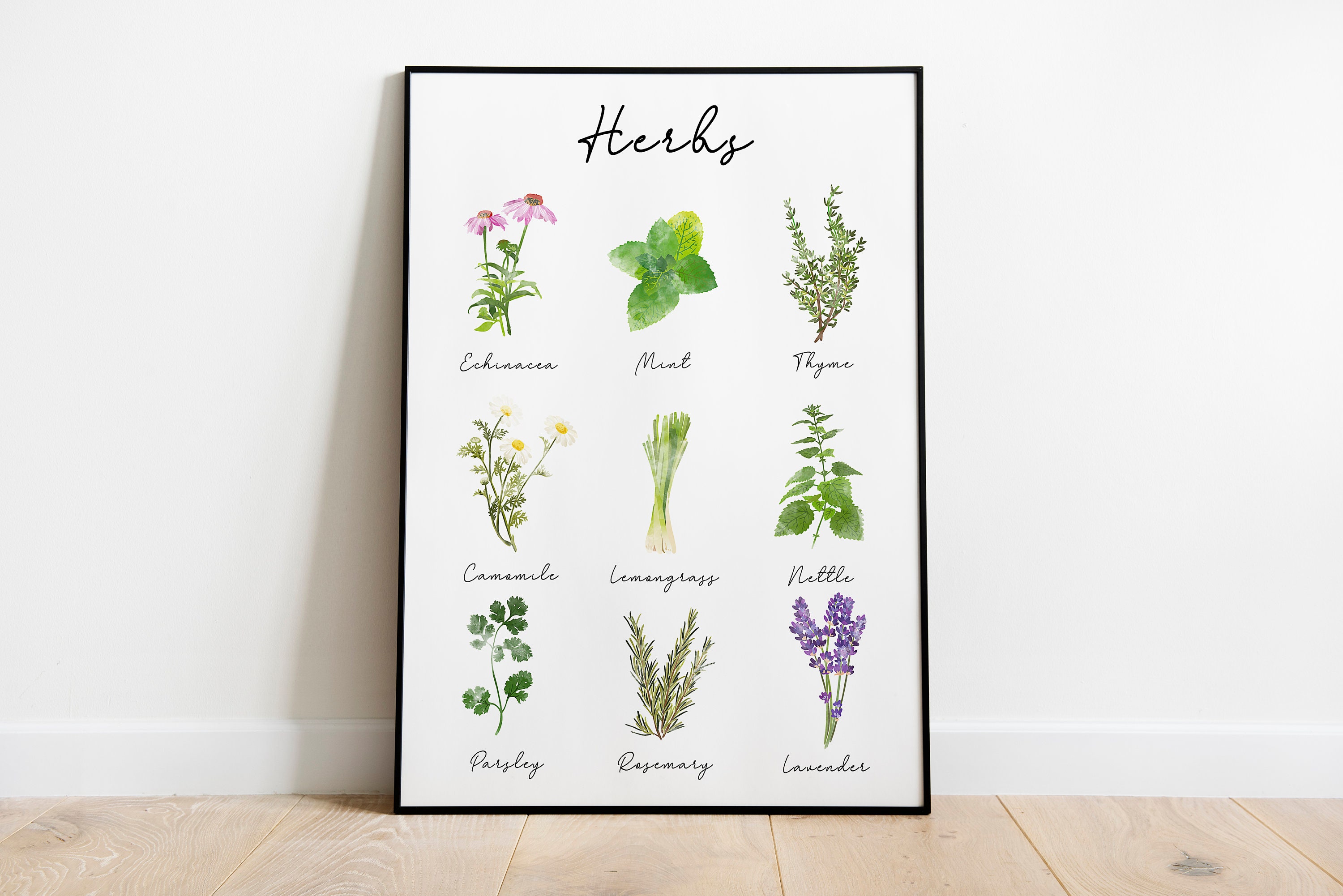 Herb Chart Poster