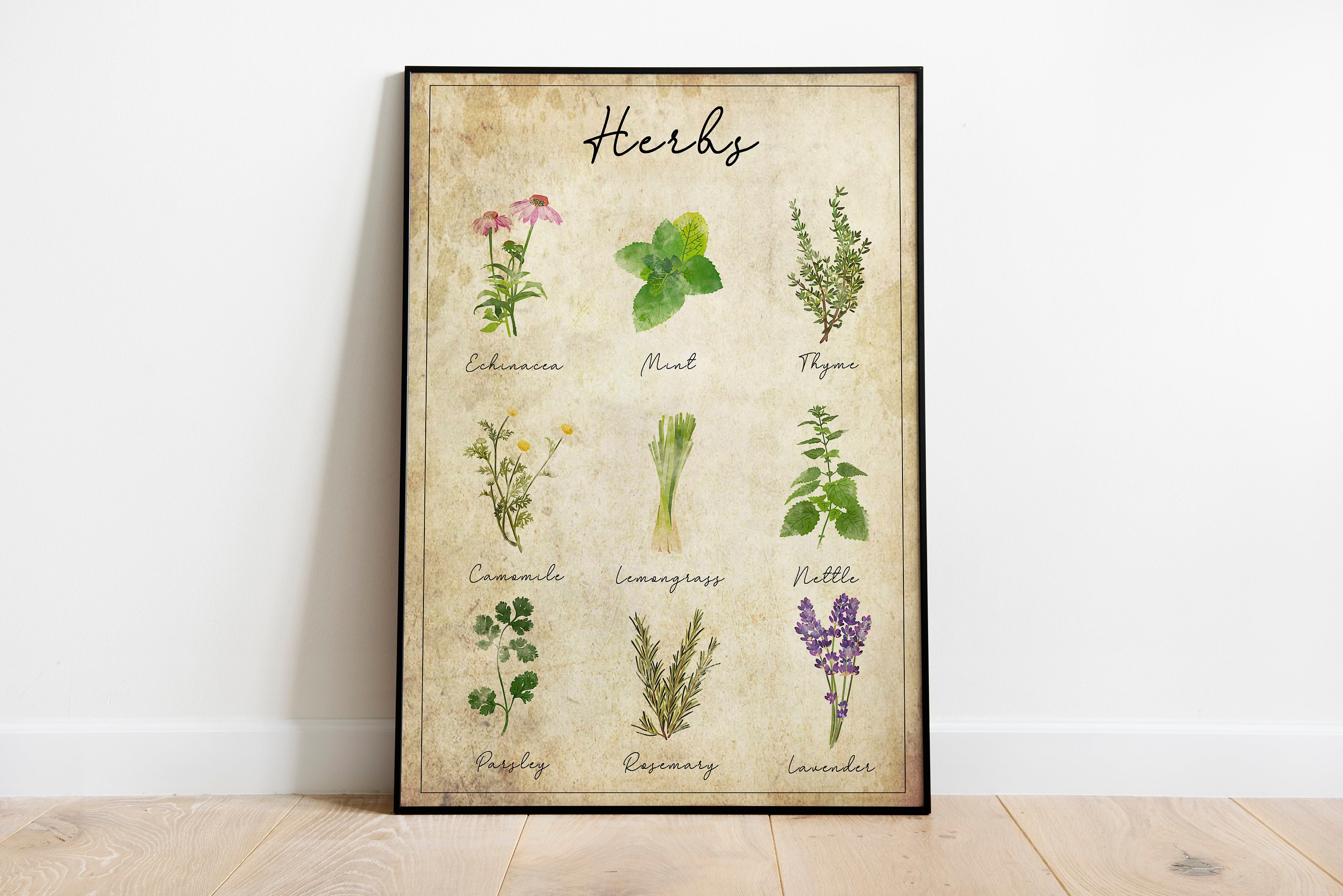 Vintage Herb Poster Print Herb Printables Kitchen Etsy Vintage Herb Poster Print Herb Printables Kitchen Etsy