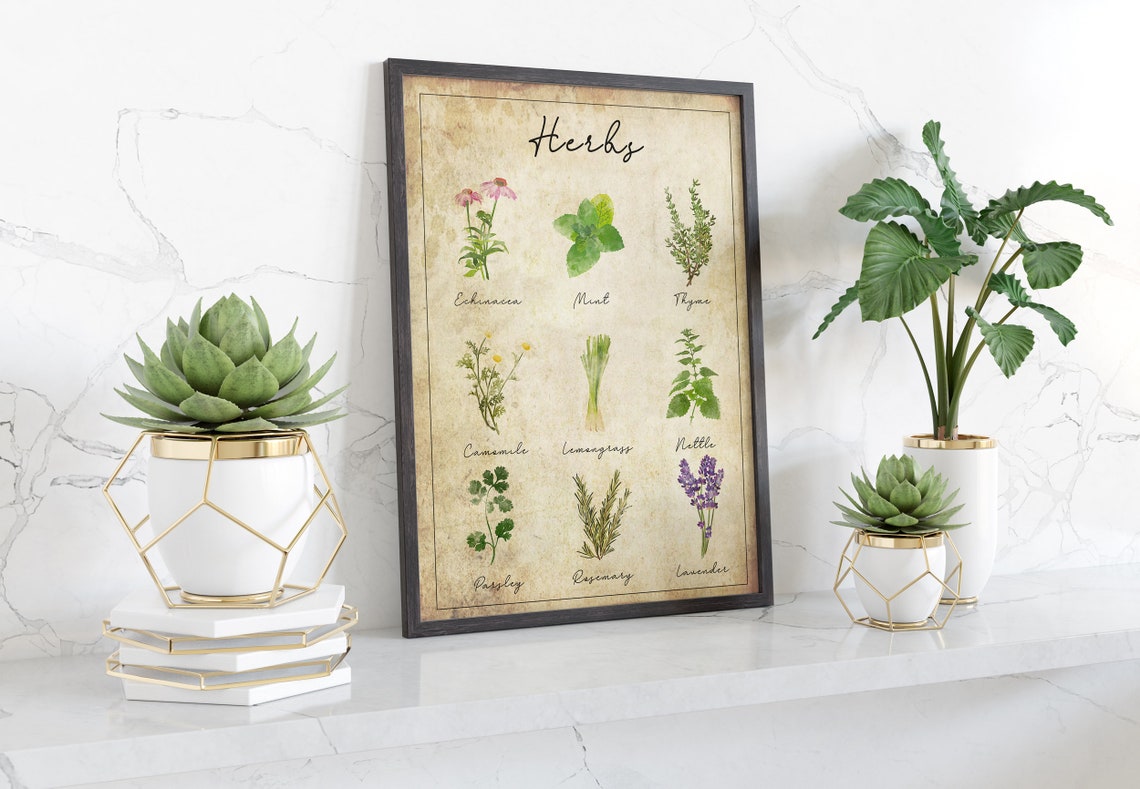 Vintage Herb Poster Print Herb Printables Kitchen | Etsy