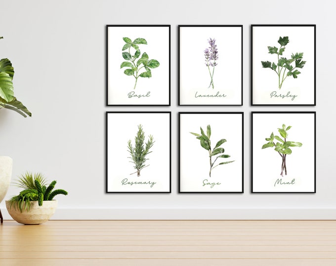 Herb Kitchen Prints Set of 6 Herb Printables Herbs Wall Art - Etsy
