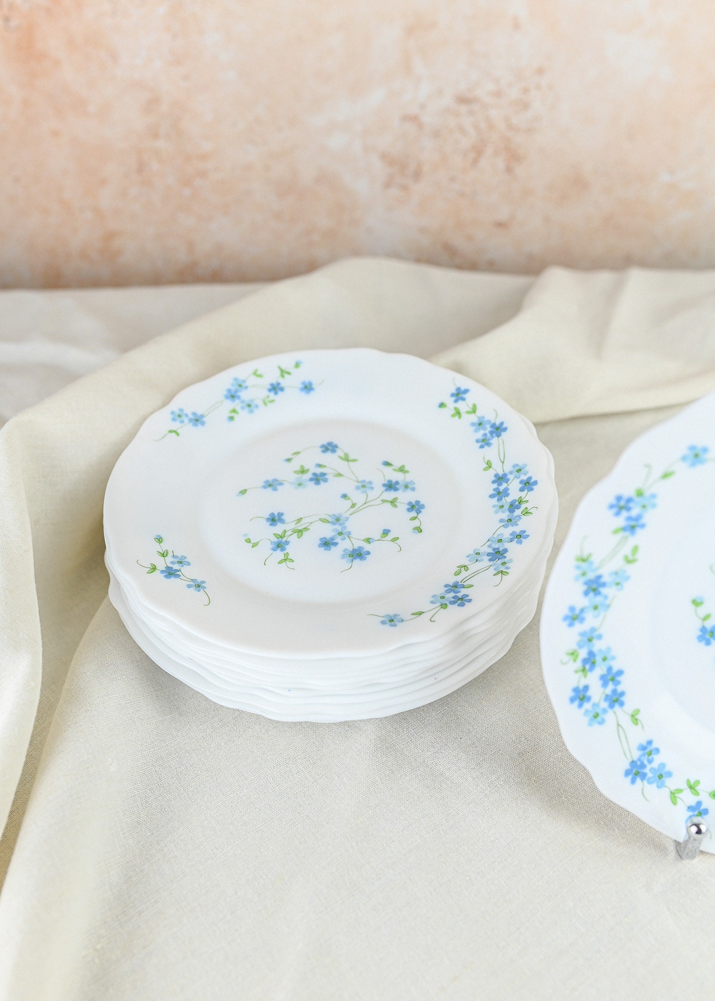 Lot De 12 Assiettes Plates Arcopal Veronica Myosotis Vintage