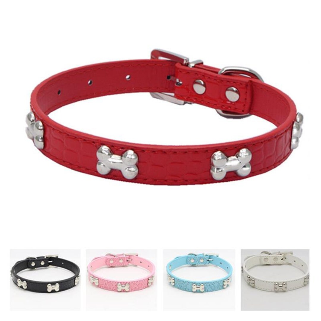 Dollar store hotsell dog collars