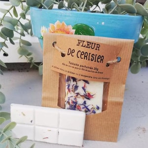 Cherry Blossom Scented Melt Tablet, Soy Wax, Grasse Perfume and Dried Flowers