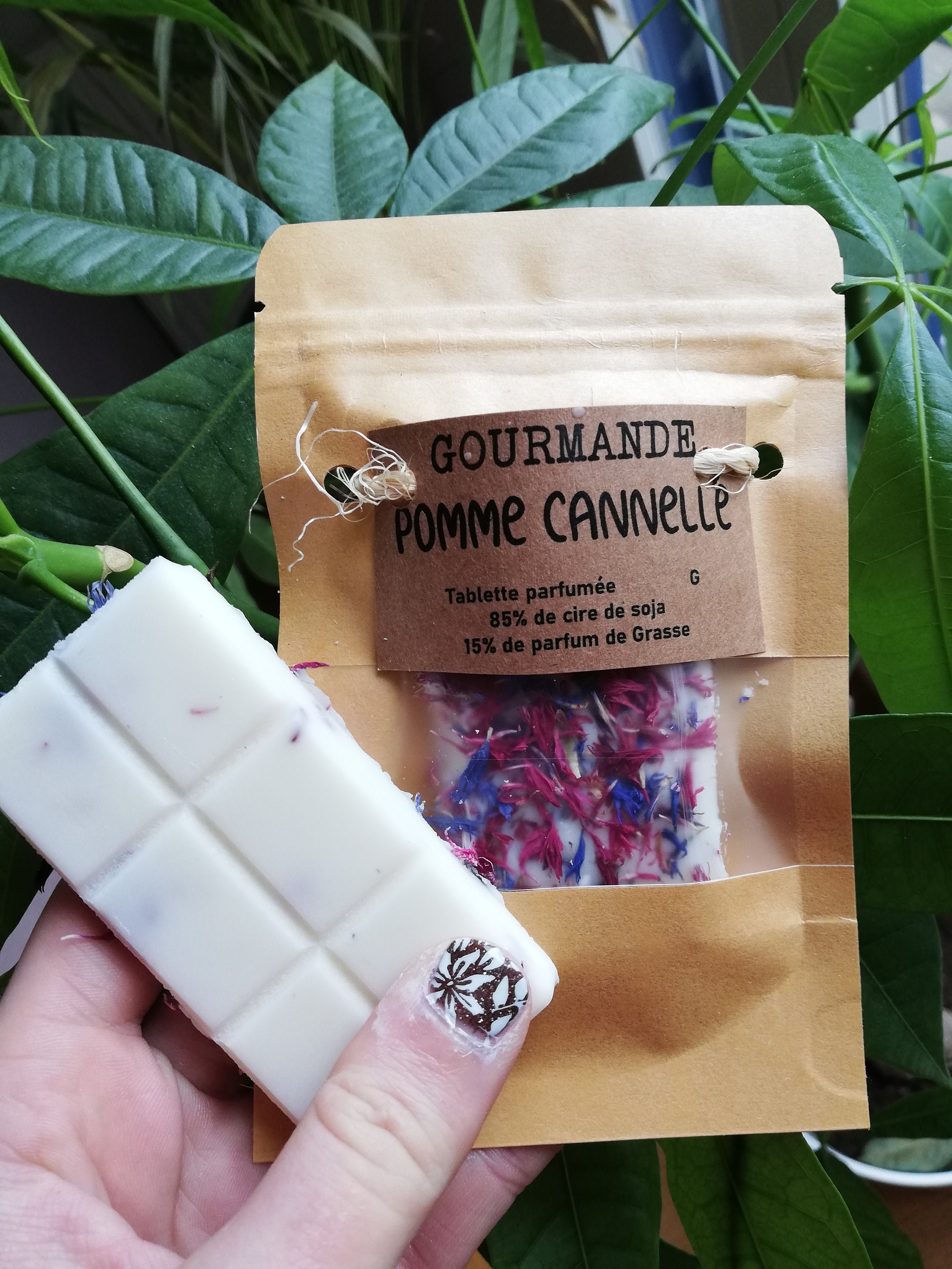 Pomme Cannelle Tablette de Fondant Parfumé, Cire Soja, Parfum Grasse et Fleurs Séchées