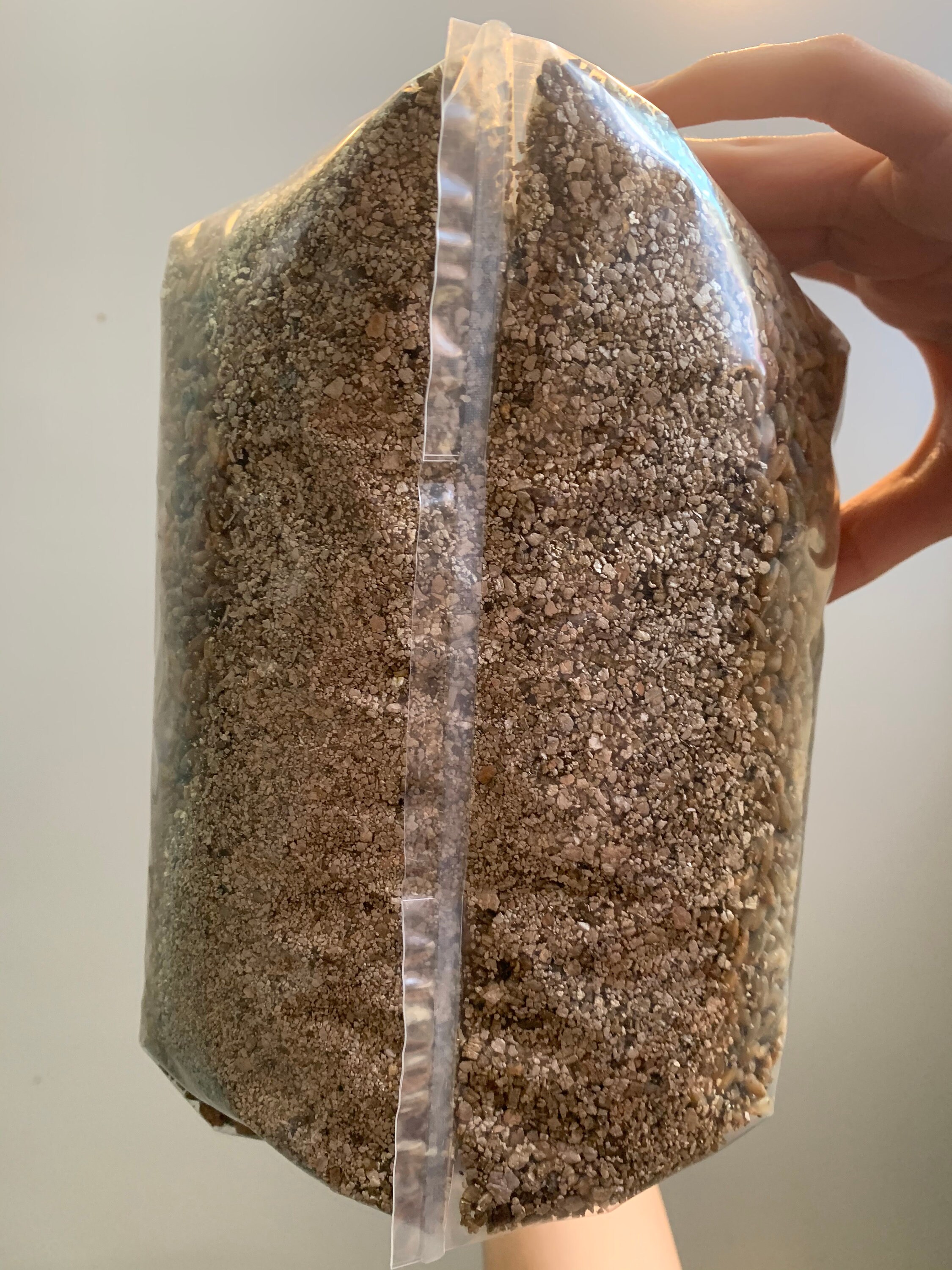 3lb 5lb Rye Grain Spawn Bags Etsy
