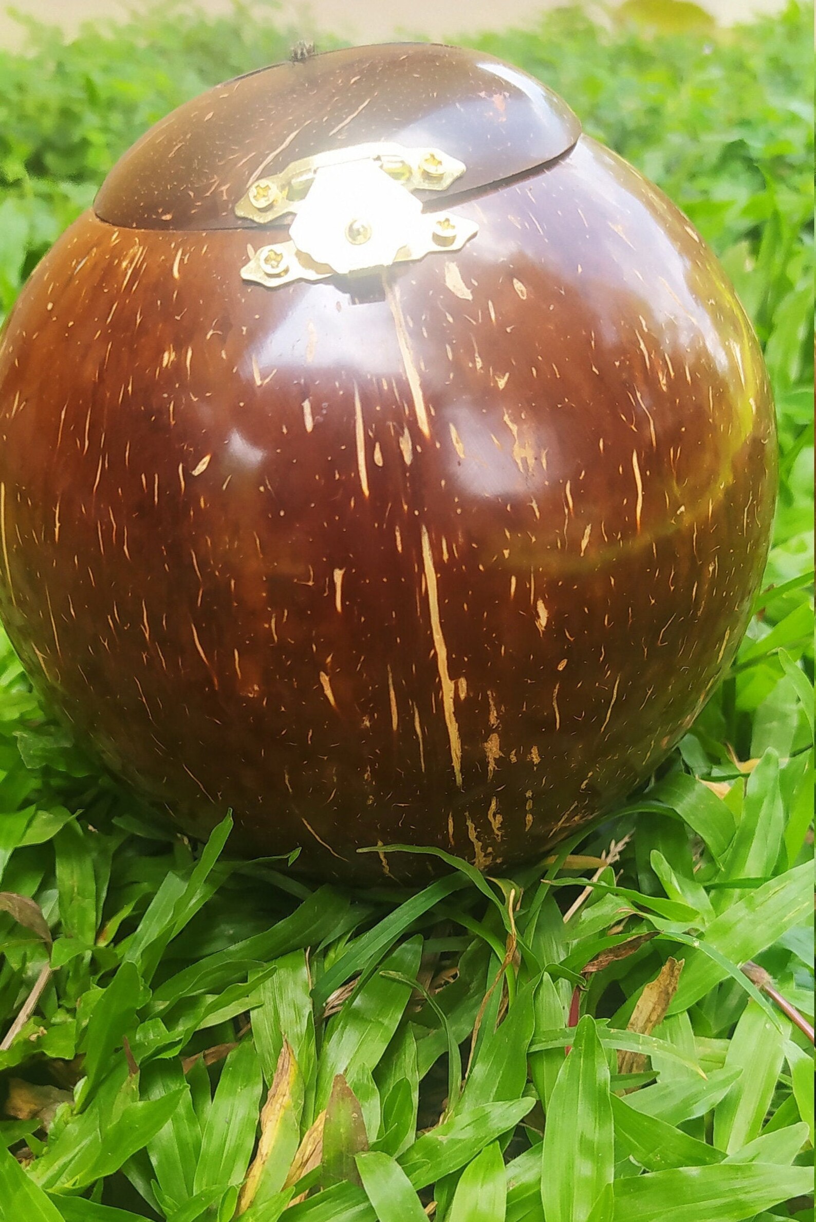 Coconut shell money bank safe money box till bank notes money Etsy