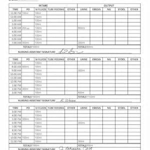Intake and Output Form