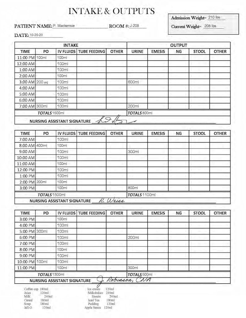 Patient Intake and Output Form: Healthcare Tracking Sheet - Etsy