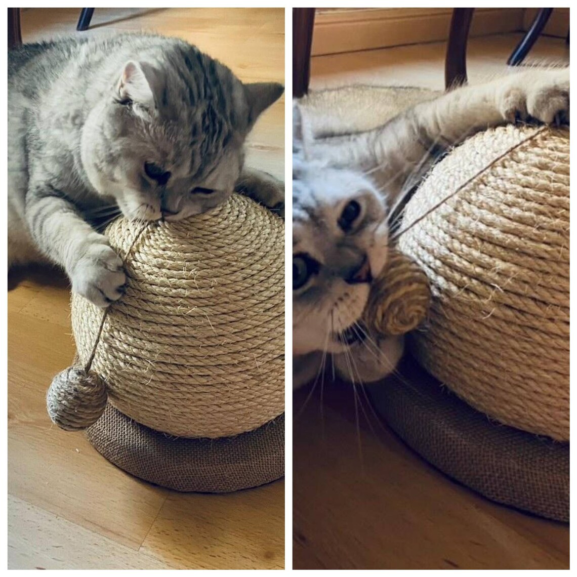 Beautiful ball shaped scratcher for cats | Etsy
