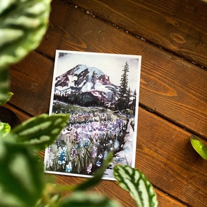 Lupine trail at Mt. Rainier art print- 5x7 or 8x10