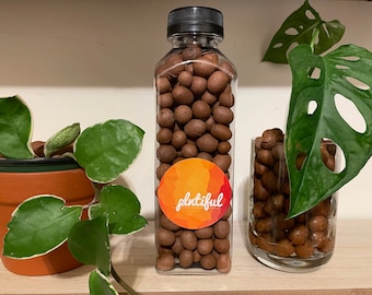 Leca Clay Balls / Pebbles - Semi Hydro & pH strips
