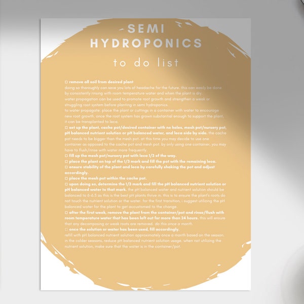 Semi Hydroponics for Beginners To Do List | LECA | Houseplants | Digital Download