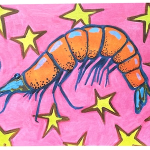 Funky shrimp with stars- quirky and vibrant food wall hanging