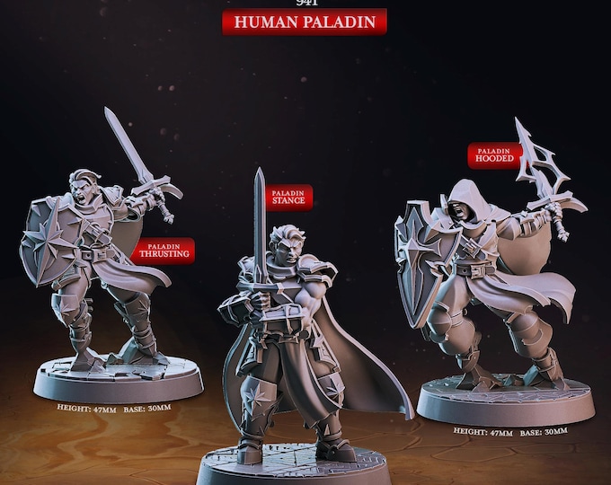 Human Paladin -Cast Play -Dungeon Guild