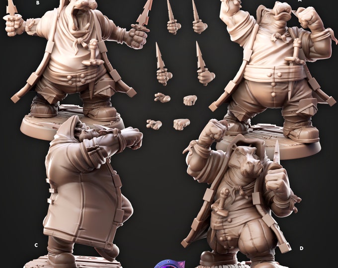 Hippo Giff Cosmo Rogues -Cast and Play