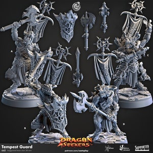 Tempest Gaurd- DragonSeekers -Cast and Play