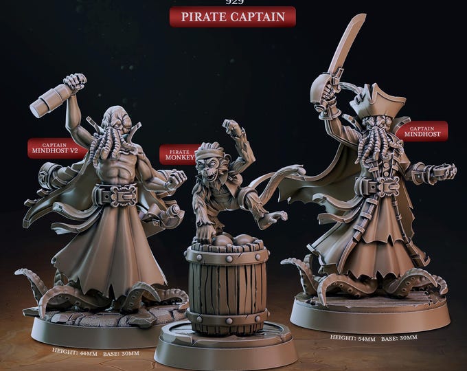 Pirate Captain -Cast Play -Pirate Chronicles